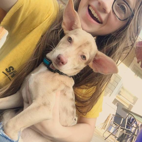 Meet your Posher, Taylor - Picture 1 of 4